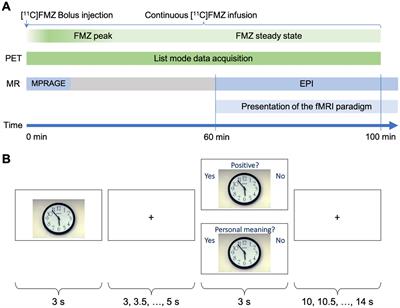 GABAA receptor availability relates to emotion-induced BOLD responses in the medial prefrontal cortex: simultaneous fMRI/PET with [11C]flumazenil